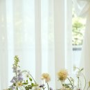 뽀드득 블랑스파 이미지