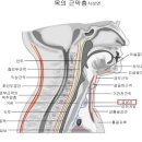 현대편안내과의원 이미지