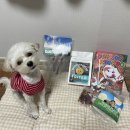 파핑파우 이미지