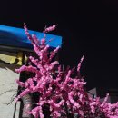 서정우노래방
