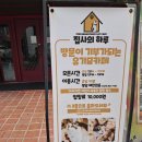 집사의하루 강남점 | 강남고양이 카페 집사의 하루 유기묘 고양이과 함께 힐링 타임 함께 하기 좋은 이색데이트 장소