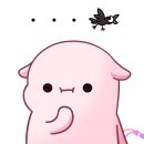 제주노조미 이미지