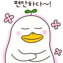 24시송도오케이동물의료센터 이미지