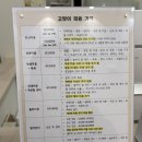 무릎 위의 고양이 무냥 이미지