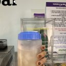 보라빛 낭만펜션 이미지