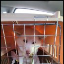 꽃지해송펜션 이미지