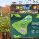 대덕대로2 이미지