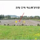 성산읍사무소 이미지