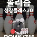 볼리즘(Bowlizm) 이미지