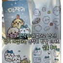 난리U - 중구 중앙로 1 | 스파오x먼작귀 귀엽다고 난리! 입기 아깝다는 먼작귀 반팔 티셔츠 실물후기