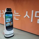 클로이교육