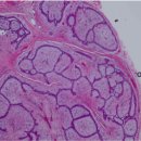 성종섬유 이미지
