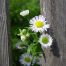 가을찻집 이미지