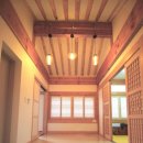 동박생이 이미지