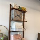 온기청과 이미지