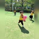 초롱공원 농구장 이미지