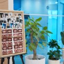 미소인치과기공소 이미지