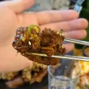 가장맛있는족발(부산시청점) | 내가 시청에서 제일 사랑하는 족발집, 가족 (가장 맛있는 족발 부산시청점)