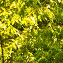 도봉-도봉-서울도봉-2407 이미지