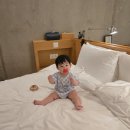 하나강산여행사주 | D+326 강산이와의 첫 여행❤️ (네스트호텔)