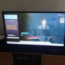 명장인견