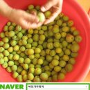 바닷가농원 이미지