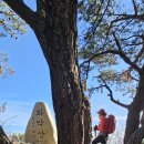 비슬농장 이미지