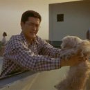 플란다스의개 이미지