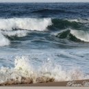 해변의 바람 이미지