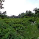 지월리경로당 이미지