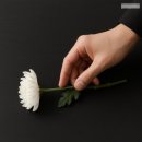 경기도의료원 수원병원 | 경기도의료원 안성병원장례식장 장례후기, 보험업에 종사하신 어머니의 따뜻한 이별