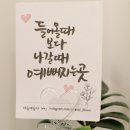 애견미용 견출지 노원점 이미지