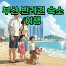 영무파라드 펜션 | '부산' 반려견 동반 여행, '애견동반' 숙소 완벽 가이드