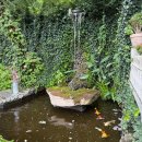 카페자연 | 울산 율리 저수지뷰 자연속 카페 베르츠 내돈내산 후기