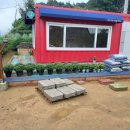 갈숲마을 이미지