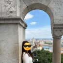 로즈하우스민박 | 눈 감았다 뜨니까 한국이더라