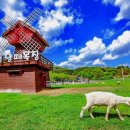 동선목장 이미지