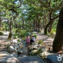 청풍 관광정보센터 이미지