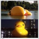 덕