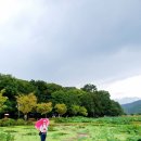 61차(8월)정기산행ㆍ천년의숲, 함양 선비 길 이미지