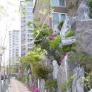 쌍용동일하이빌아파트 이미지