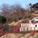 매화1공원 이미지