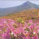 산상목장 이미지