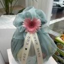 미래로청과