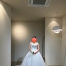헤미쉬헤어 | [포토 드레스 피팅] 광주 브라이덜헤미쉬 포토 드레스 피팅 후기