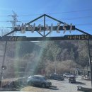 캠핑소리251 이미지