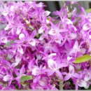 동광무역 이미지