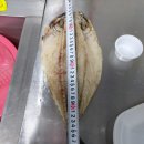 모여라포차 이미지