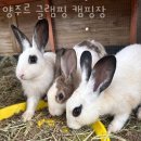 부곡1리마을회관 | 서울근교글램핑 양주르 글램핑 캠핑장 서울근교여행 글램핑장 어디?