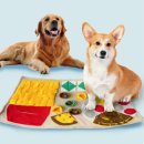 쿠치올로 이미지